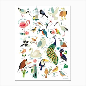 Bird Alphabet Canvas Print