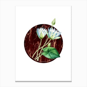 Vintage Egyptian Lotus Botanical in Gilded Marble on Clean White Canvas Print