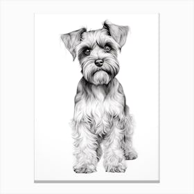 Miniature Schnauzer Dog, Line Drawing 4 Canvas Print