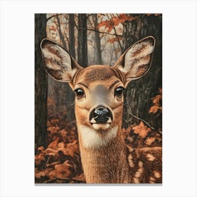 Deer In The Woods 7 Canvas Print