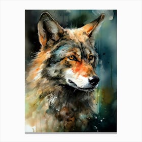 Coyote animal Canvas Print