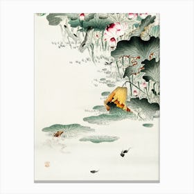 Frog And Tadpoles (1900 1930), Ohara Koson Canvas Print