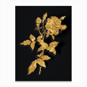 Vintage Provence Rose Botanical in Gold on Black n.0146 Canvas Print