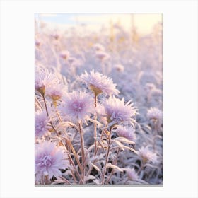 Frosty Botanical Asters 2 Canvas Print