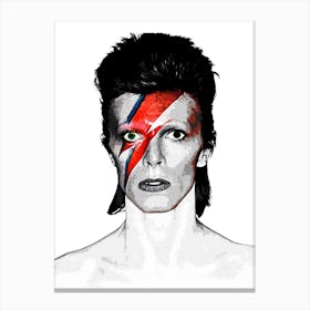 David Bowie 14 Canvas Print