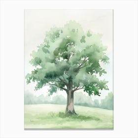 Pecan Tree Atmospheric Watercolour Painting 3 Canvas Print