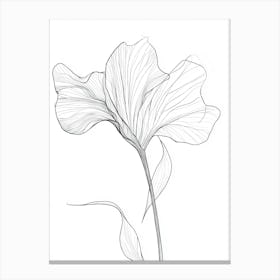 Flower Drawing 3 Canvas Print