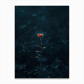 Flower In The Dark 103 Canvas Print