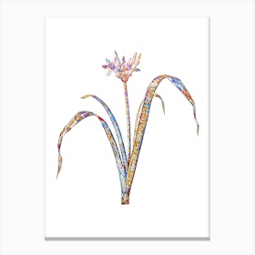 Stained Glass Small Flowered Pancratium Mosaic Botanical Illustration on White n.0344 Canvas Print