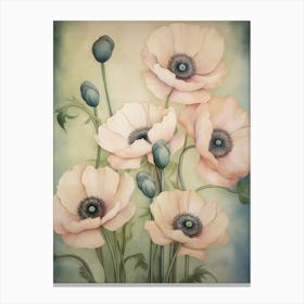 Poppies 37 Canvas Print