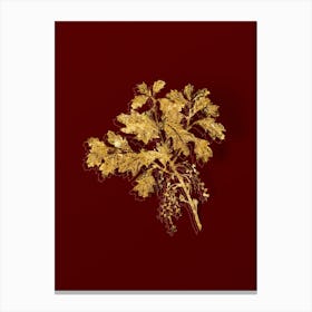 Vintage Bear Oak Botanical in Gold on Red n.0546 Canvas Print