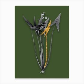 Vintage Arrowhead Black and White Gold Leaf Floral Art on Olive Green n.0355 Canvas Print