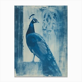 Peacock In A Church Abbey Cyanotype Inspired 2 Canvas Print
