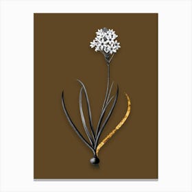 Vintage Arabian Starflower Black and White Gold Leaf Floral Art on Coffee Brown n.0768 Canvas Print