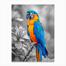 Colorful Parrot 1 Canvas Print