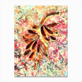 Impressionist Banana Botanical Painting in Blush Pink and Gold Canvas Print