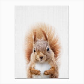 Peekaboo Squirrel Canvas Print