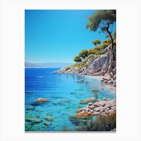 Rocky Shore Canvas Print