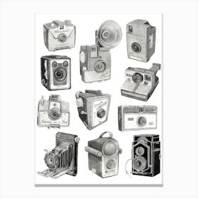 Grey, Black And White Cameras Canvas Print