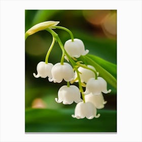 Lily Of The Valley Art 1 Canvas Print