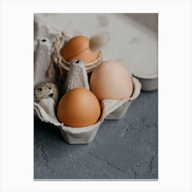 Eggs In A Carton 26 Canvas Print