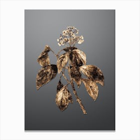Gold Botanical Climbing Hydrangea on Soft Gray n.2619 Canvas Print