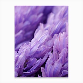 Close Up Of Purple Flowers Canvas Print