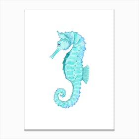 Seahorse 6 Canvas Print