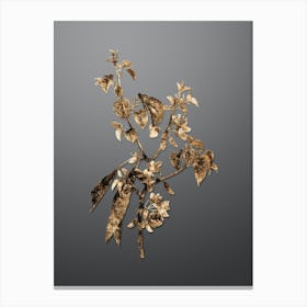 Gold Botanical Judas Tree on Soft Gray n.3648 Canvas Print