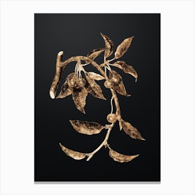 Gold Botanical Cherry on Wrought Iron Black n.3290 Canvas Print