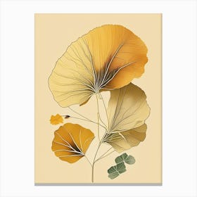 Ginkgo Spices And Herbs Retro Drawing 1 Canvas Print