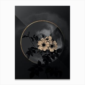 Shadowy Vintage White Rosebush Botanical on Black with Gold n.0075 Canvas Print