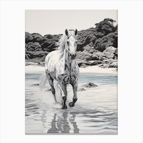 A Horse Oil Painting In Hyams Beach, Australia, Portrait 1 Canvas Print