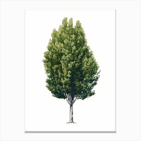 Poplar Tree Pixel Illustration 1 Canvas Print