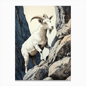 Mountain Goat Canvas Print