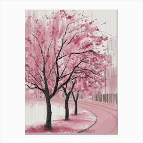 Cherry Blossoms 1 Canvas Print