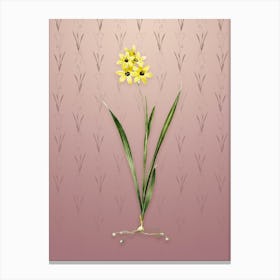 Vintage Ixia Fusco Citrina Botanical on Dusty Pink Pattern n.0041 Canvas Print