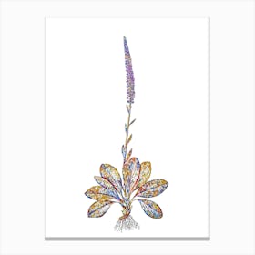 Stained Glass Blazing Star Mosaic Botanical Illustration on White n.0359 Canvas Print