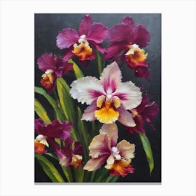 Miltonia Orchid Oil Painting 1 Canvas Print