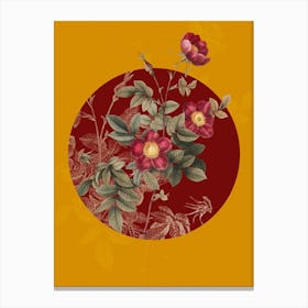 Vintage Botanical Alpine Rose on Circle Red on Yellow n.0279 Canvas Print