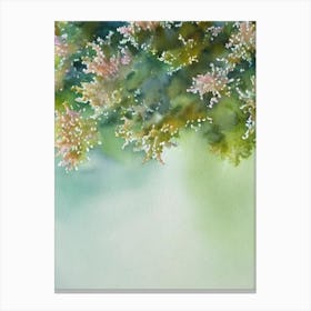 Acropora Tenella Ii Storybook Watercolour Canvas Print