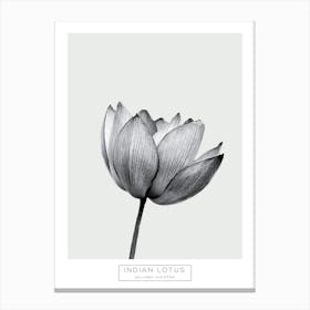 Minimalist Black and White Indian Lotus Canvas Print