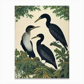 Cormorant Haeckel Style Vintage Illustration Bird Canvas Print