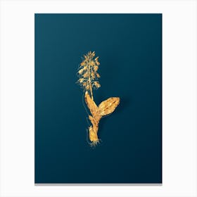 Vintage Brown Widelip Orchid Botanical in Gold on Teal Blue Canvas Print