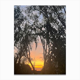 Sunset Through Trees Canvas Print