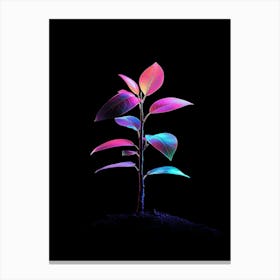 Rainbow Plant On Black Background 2 Canvas Print