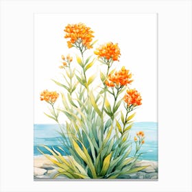 Butterfly Weed Wildflower In Watercolor  (3) Canvas Print