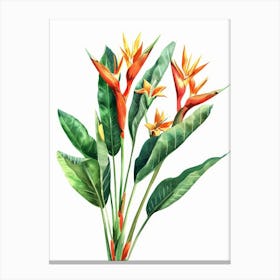 Bird Of Paradise 39 Canvas Print