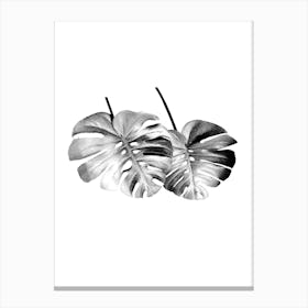 Monstera Leafs Minimalist Black And White Boho Art Print Canvas Print