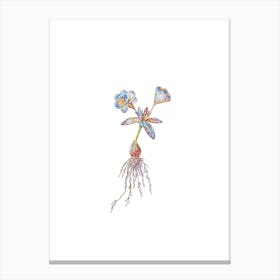 Stained Glass Cape Tulip b Mosaic Botanical Illustration on White Canvas Print